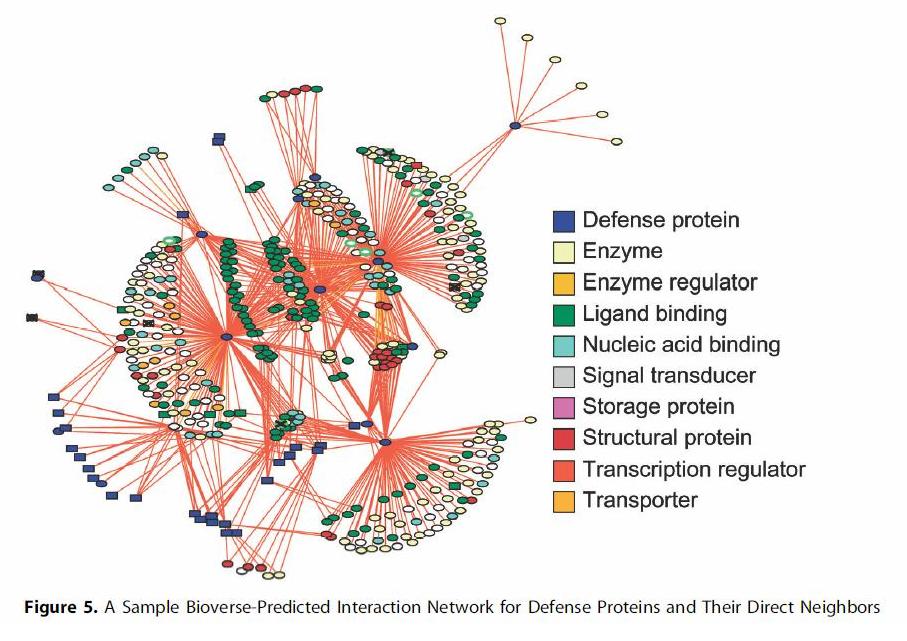 Redes de interacciones génica